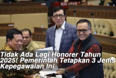 Tidak Ada Lagi Honorer Tahun 2025! Pemerintah Tetapkan 3 Jenis Kepegawaian Ini