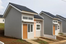 Mau Desain Rumah Subsidi Versi Milenial Biar Tampak Elegan? Berikut Pilihan Tepatnya! 