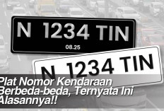 Plat Nomor Kendaraan Berbeda-beda, Ternyata Ini Alasannya!! 