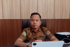 Pemprov Bengkulu Perketat Pengawasan Rokok Ilegal