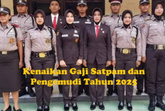 10 Daerah Ini Terima Kenaikan Gaji Satpam dan Pengemudi Tahun 2025, Bengkulu Paling Kecil