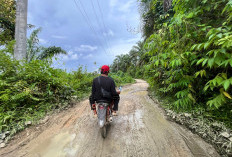 7 Ruas Jalan Provinsi di Bengkulu Selatan Hancur, Warga Mengeluh: Kami Seperti Terisolasi!