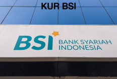 Mengajukan Pinjaman KUR BSI Sebesar Rp 50 Juta Secara Online, Bisa Nggak Ya? Intip Tata Caranya di Sini Yuk, D