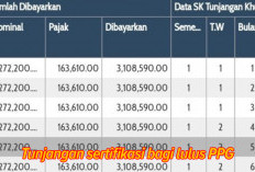 Tunjangan Sertifikasi Bagi Lulus PPG Pilitong 2 Cair Tahun 2025, Ini Nominal Potongan Pajaknya