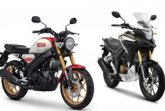 Mengenal Yamaha XSR 155, Motor Bergaya Klasik dengan Performa Tangguh Masa Kini