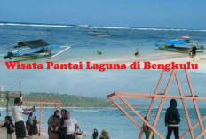 Keindahan Pantai Laguna Tiada Duanya, Desa Wisata di Bengkulu dengan Kategori Berkembang