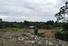 Pengelolaan Sampah di Kaur Sudah Gunakan Saniter Landfill, Tekan Pencemaran Lingkungan