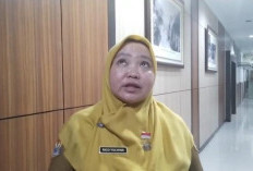 Matangkan Listrik Masuk Desa di 30 Lokasi, Cek di Sini Kendala Dialami Kabupaten Kaur