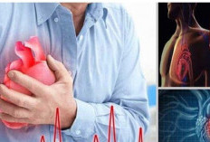 Nomor 5 Wajib Anda Ketahui, Berikut Faktor Risiko Jantung Koroner