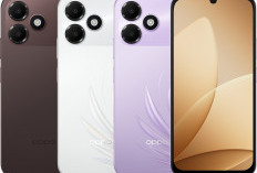 Oppo A6c: Pemain Baru Pasar Gadget Indonesia, Kapasitas Baterai dan Speknya Bikin Kaget