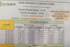 KUR Mikro Bank Bengkulu Kuota di Setiap Cabang Segini, Intip Skema Angsurannya!