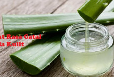 Kalahkan Obat Apotik, ini 7 Bahan Alami Ampuh Obati Rasa Gatal pada Kulit