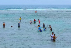 Kunjungan  Wisatawan di Provinsi Bengkulu Meningkat, Lebong dan Kaur Menjadi Terendah