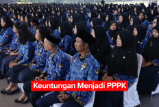 Tak Terhitung! Inilah Keuntungan  Menjadi PPPK, Cek di Sini Penjelasannya