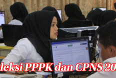 Jelang Seleksi PPPK dan CPNS 2024, Perhatikan Pesan Penting BKN RI Ini Sebelum Daftar