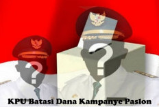 Tidak Boleh Berlebihan dalam Kampanye, KPU Batasi Dana Kampanye Paslon