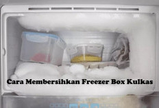 Begini Loh Cara Membersihkan Freezer Box Kulkas dengan Benar dan Mudah