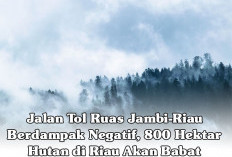 Jalan Tol Ruas Jambi-Riau Berdampak Negatif, 800 Hektar Hutan di Riau Akan Babat