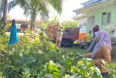 Kabar Gembira! DLHK Bengkulu Selatan Bagikan 5000 Bibit Buah Gratis, Ini Cara Mendapatkannya