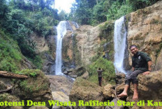 Paket Komplit! Simak Potensi Desa Wisata Rafflesia Star di Kaur