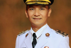 Kaur Selatan dan Tetap Target Penertiban  Hewan Ternak, Simak Penjelasan Wabup Kaur