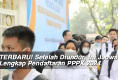 TERBARU! Setelah Diundur, Ini Jadwal Lengkap Pendaftaran PPPK 2024