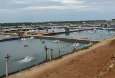 Baznas Kaur Akan Optimalkan Pengumpulan ZIS Pihak Swasta