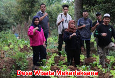 Desa Wisata Mekarlaksana Berbeda  dari yang Lain, Ini yang Bisa Dinikatmi