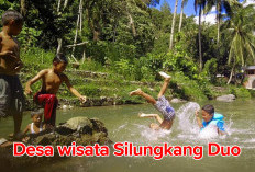 Desa Wisata Silungkang Duo, Miliki Puluhan  Potensi Wisata Alam Hingga Budaya dan Kuliner