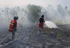 Dilarang Buka Lahan Cara Dibakar, Temukan Pembakaran Lahan? Segera Laporkan ke Sini 