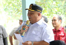 7 Desa Baru Masuk Bengkulu Selatan, Bupati Prioritas Pembangunan, Tidak Ada Anak Tiri