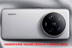 Hasil Lebih Jernih, Kualitas Gambar Lebih Meningkat, Inilah 5 Handphone Xiaomi dengan Kamera Leica!