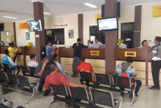 Pemilik Kendaraan Wajib Tahu! Ini Dokumen yang Harus dipersiapkan Untuk Bayar Pajak 5 Tahunan