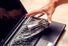 Laptop yang Terkena Air Bikin Panik Pengguna, Tenang Ini Cara Efektif Mengatasinya!