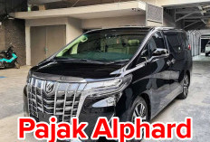 Berapa Sih Pajak Mobil Alphard? Intip di Sini Yuk!