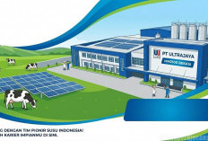 Kabar Baik Buat Pencari Kerja, PT Ultrajaya Milk Industry Bekasi Buka Lowongan Kerja, Ini Posisinya