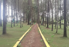 Cuaca Ekstrem, Pemdes Keluarkan Imbauan Larangan ke Wisata Pantai Dakem