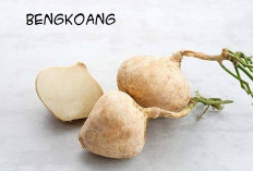 Bengkoang Rahasia Kulit Cerah: Cara Mengolah Bengkoang untuk Masker Wajah, Pembuatannya Relatif Sederhana
