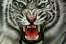 Khodam dari Harimau Tampil Lebih Berani, Cek Dampak Aura yang Ditimbulkannya! 