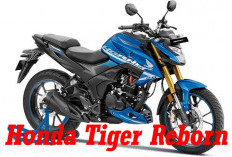 Honda Tiger Reborn, Motor Bergaya   Legendaris, Simak Speksifikasinya