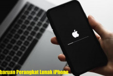 Tak Bisa Dianggap Sepele, Pembaruan Perangkat Lunak iPhone Sangat Penting, Abai Bisa Berakibat Fatal