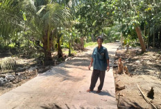 Jalan Rabat DD Air Batang Dipertanyakan, Warga : Lain Hal Kalau Pembangunan Pakai Uang Pribadi 