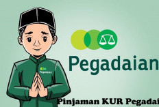 Pinjaman KUR Pegadaian Angsuran Mulai 84.000, Cocok Nih Buat yang Mulai Bisnis!