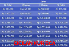 Cicilan KUR BCA 2025 Pinjaman Rp 10 Juta, Bunga Ringan Proses Cepat