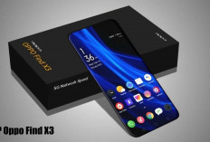 WAJIB TAHU! Alasan Mengapa HP Oppo Find X3 Menjadi Smartphone Terbaik Dikelasnya