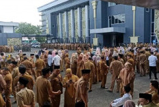 Ada Kekosongan Formasi PPPK Pemprov Bengkulu, Cek di Sini Jumlah dan Penyebab Utamanya!