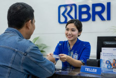 KUR BRI 2026 Hadir dengan Beragam Pilihan Pinjaman, Solusi Modal bagi Pelaku UMKM
