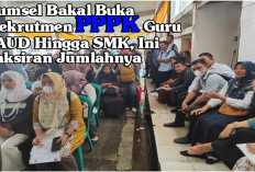 Sumsel Bakal Buka Rekrutmen PPPK Guru PAUD Hingga SMK, Ini Taksiran Jumlahnya