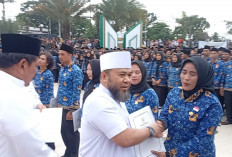 Pemprov Bengkulu Uji Coba WFA-WFO bagi PPPK Paruh Waktu, Berlaku Setelah Satu Bulan Bekerja