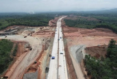Gubernur Yakin Pembangunan Tol Bengkulu - Lubuk Linggau Dilanjutkan! Cermati Alasannya